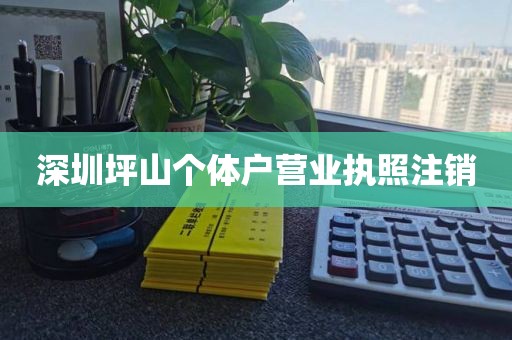 深圳坪山个体户营业执照注销