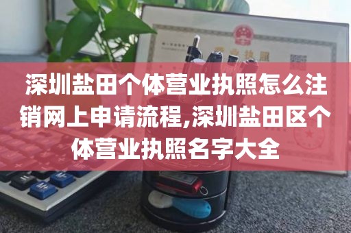 深圳盐田个体营业执照怎么注销网上申请流程,深圳盐田区个体营业执照名字大全