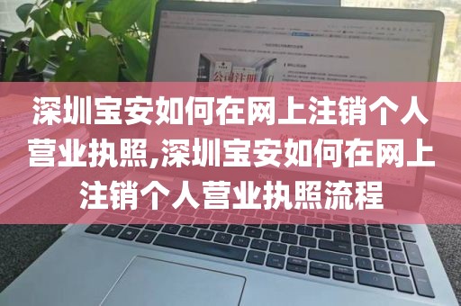 深圳宝安如何在网上注销个人营业执照,深圳宝安如何在网上注销个人营业执照流程