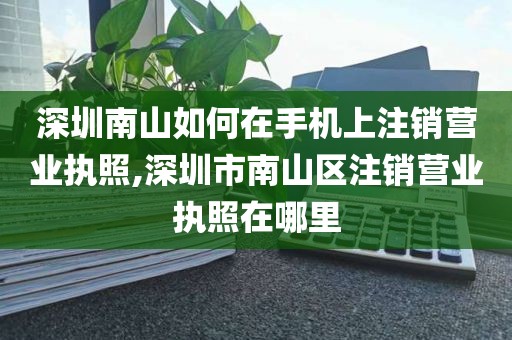 深圳南山如何在手机上注销营业执照,深圳市南山区注销营业执照在哪里