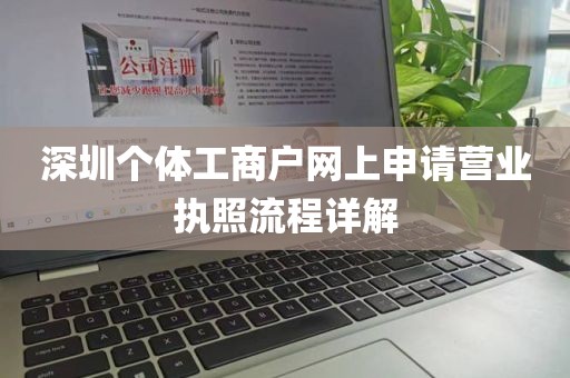 深圳个体工商户网上申请营业执照流程详解
