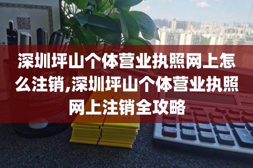 深圳坪山个体营业执照网上怎么注销,深圳坪山个体营业执照网上注销全攻略