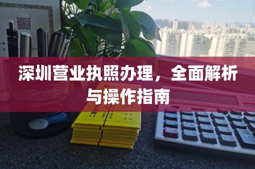 深圳营业执照办理，全面解析与操作指南