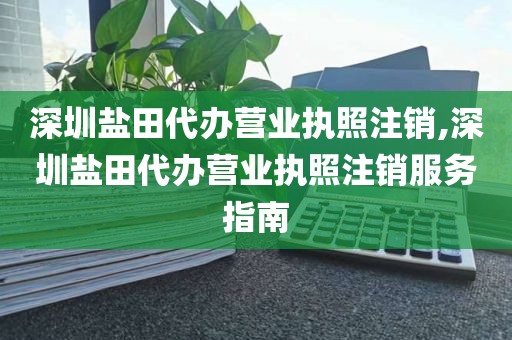 深圳盐田代办营业执照注销,深圳盐田代办营业执照注销服务指南