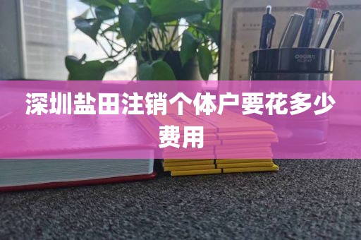 深圳盐田注销个体户要花多少费用