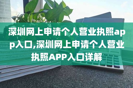 深圳网上申请个人营业执照app入口,深圳网上申请个人营业执照APP入口详解