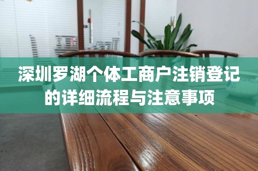深圳罗湖个体工商户注销登记的详细流程与注意事项