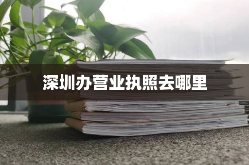 深圳办营业执照去哪里