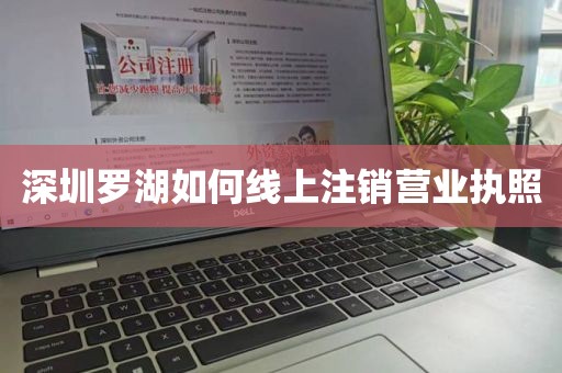 深圳罗湖如何线上注销营业执照