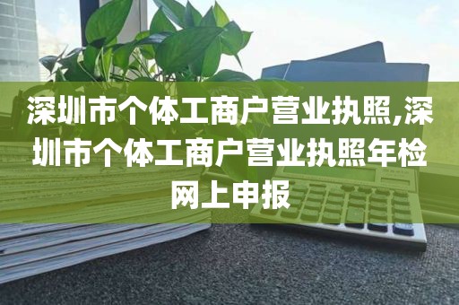 深圳市个体工商户营业执照,深圳市个体工商户营业执照年检网上申报
