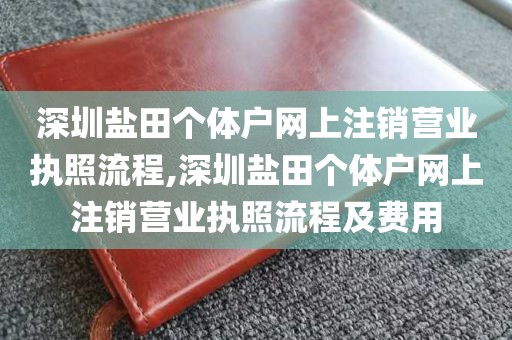 深圳盐田个体户网上注销营业执照流程,深圳盐田个体户网上注销营业执照流程及费用