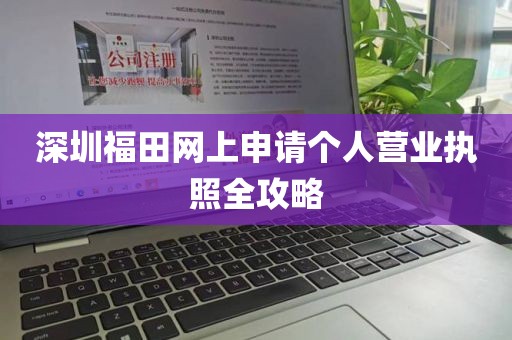 深圳福田网上申请个人营业执照全攻略