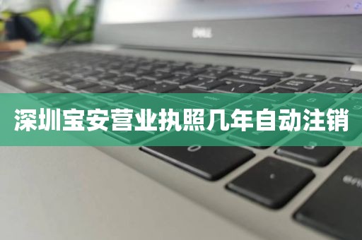 深圳宝安营业执照几年自动注销