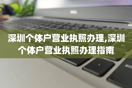 深圳个体户营业执照办理,深圳个体户营业执照办理指南