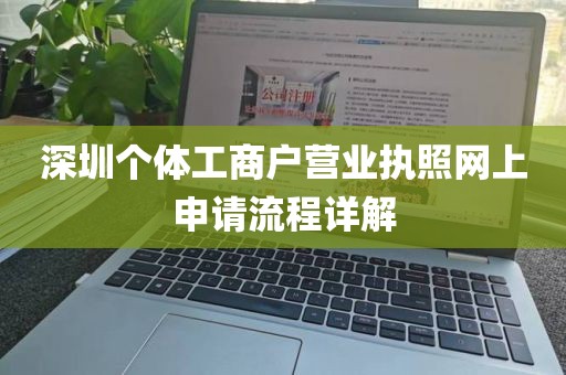 深圳个体工商户营业执照网上申请流程详解