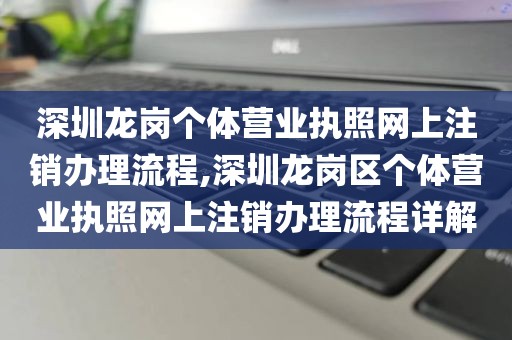 深圳龙岗个体营业执照网上注销办理流程,深圳龙岗区个体营业执照网上注销办理流程详解