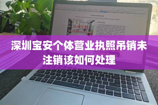 深圳宝安个体营业执照吊销未注销该如何处理