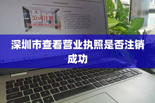 深圳市查看营业执照是否注销成功