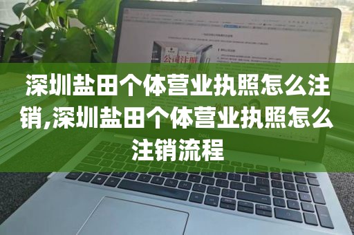 深圳盐田个体营业执照怎么注销,深圳盐田个体营业执照怎么注销流程
