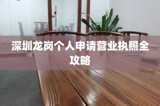 深圳龙岗个人申请营业执照全攻略
