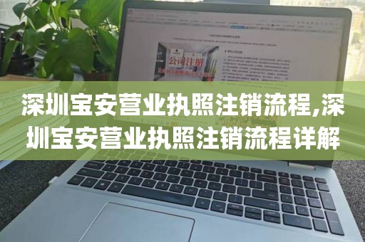 深圳宝安营业执照注销流程,深圳宝安营业执照注销流程详解