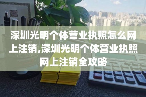 深圳光明个体营业执照怎么网上注销,深圳光明个体营业执照网上注销全攻略