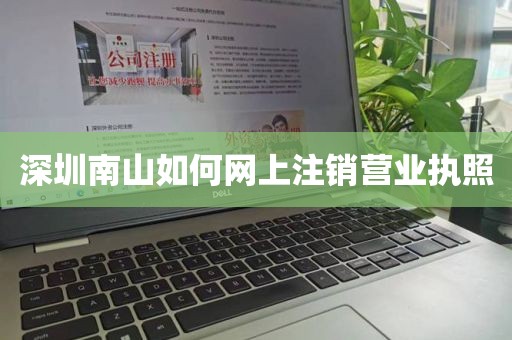 深圳南山如何网上注销营业执照
