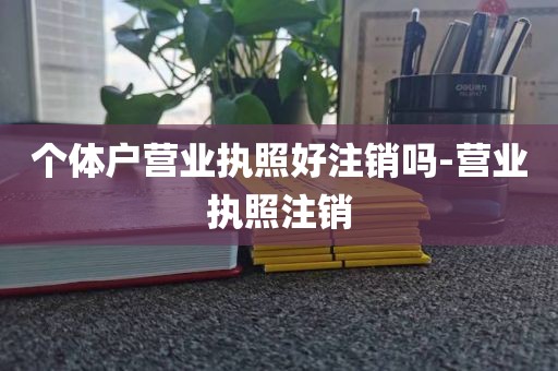 个体户营业执照好注销吗-营业执照注销