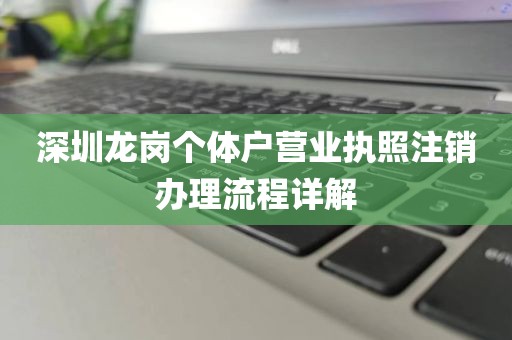 深圳龙岗个体户营业执照注销办理流程详解