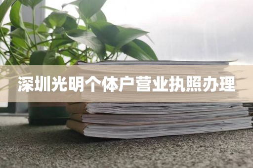 深圳光明个体户营业执照办理