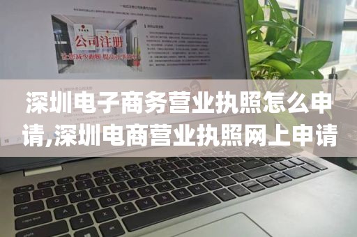 深圳电子商务营业执照怎么申请,深圳电商营业执照网上申请