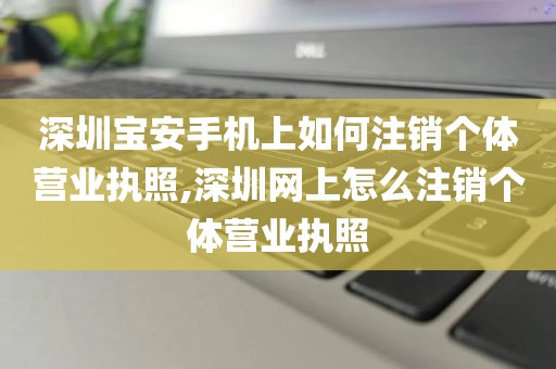 深圳宝安手机上如何注销个体营业执照,深圳网上怎么注销个体营业执照