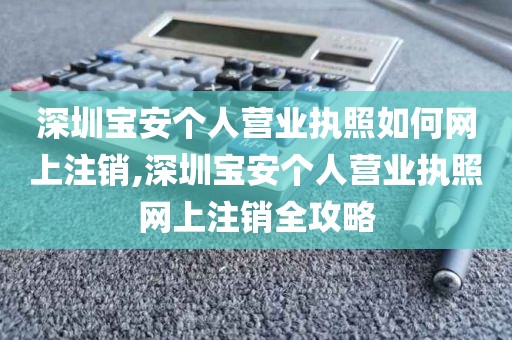 深圳宝安个人营业执照如何网上注销,深圳宝安个人营业执照网上注销全攻略