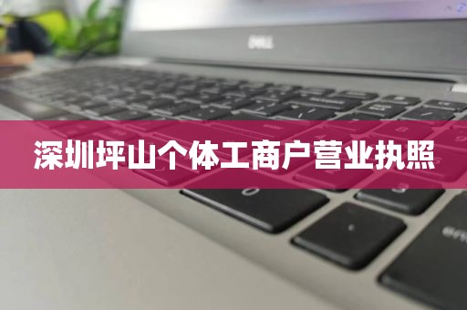 深圳坪山个体工商户营业执照