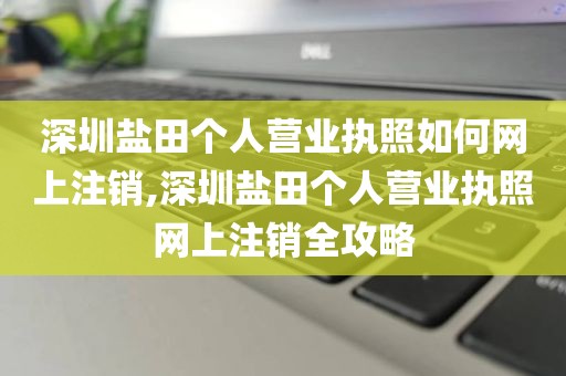 深圳盐田个人营业执照如何网上注销,深圳盐田个人营业执照网上注销全攻略