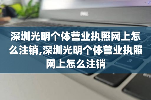 深圳光明个体营业执照网上怎么注销,深圳光明个体营业执照网上怎么注销