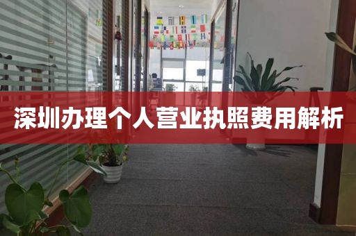 深圳办理个人营业执照费用解析