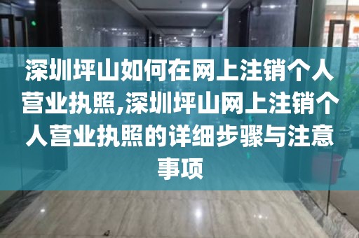 深圳坪山如何在网上注销个人营业执照,深圳坪山网上注销个人营业执照的详细步骤与注意事项