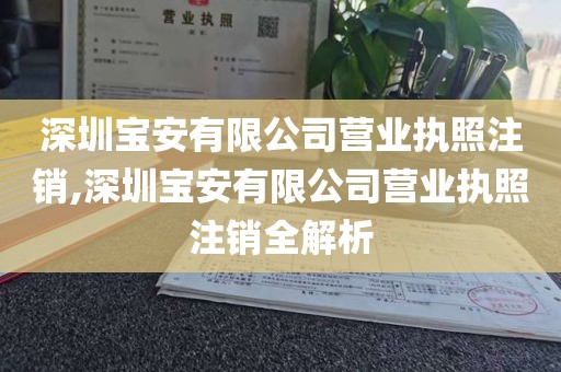 深圳宝安有限公司营业执照注销,深圳宝安有限公司营业执照注销全解析