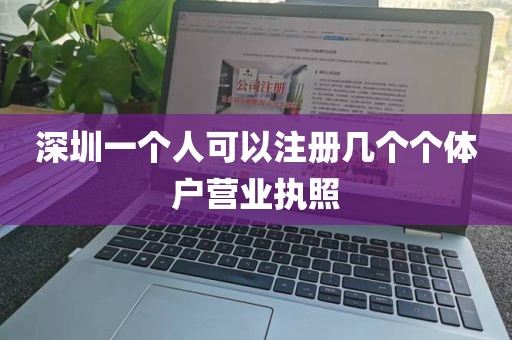 深圳一个人可以注册几个个体户营业执照