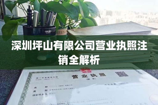 深圳坪山有限公司营业执照注销全解析