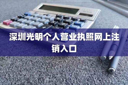 深圳光明个人营业执照网上注销入口