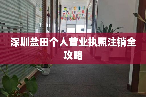 深圳盐田个人营业执照注销全攻略