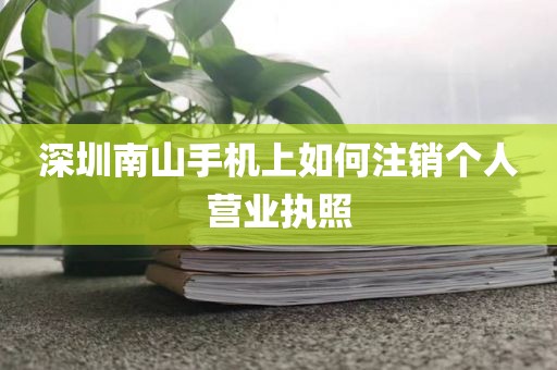 深圳南山手机上如何注销个人营业执照