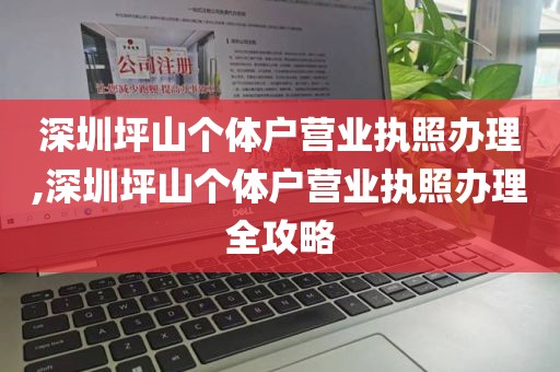 深圳坪山个体户营业执照办理,深圳坪山个体户营业执照办理全攻略