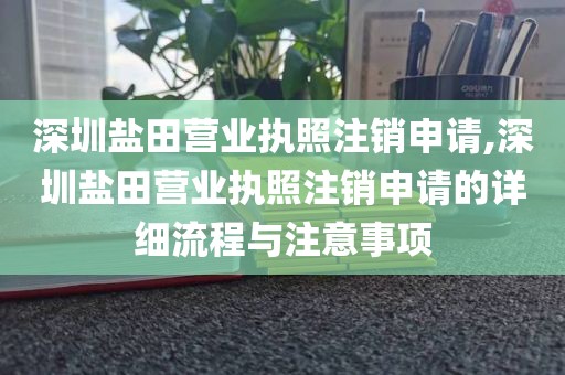 深圳盐田营业执照注销申请,深圳盐田营业执照注销申请的详细流程与注意事项