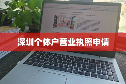 深圳个体户营业执照申请