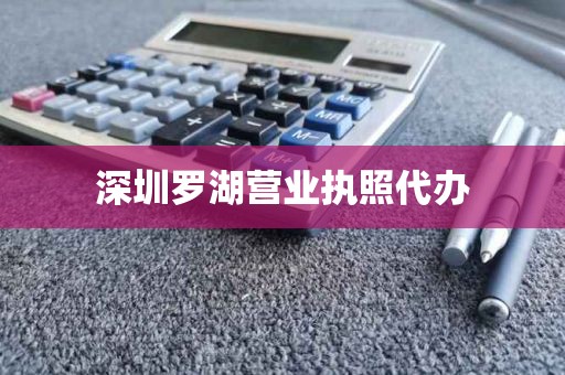 深圳罗湖营业执照代办