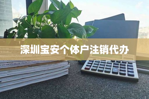 深圳宝安个体户注销代办