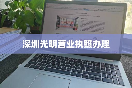 深圳光明营业执照办理